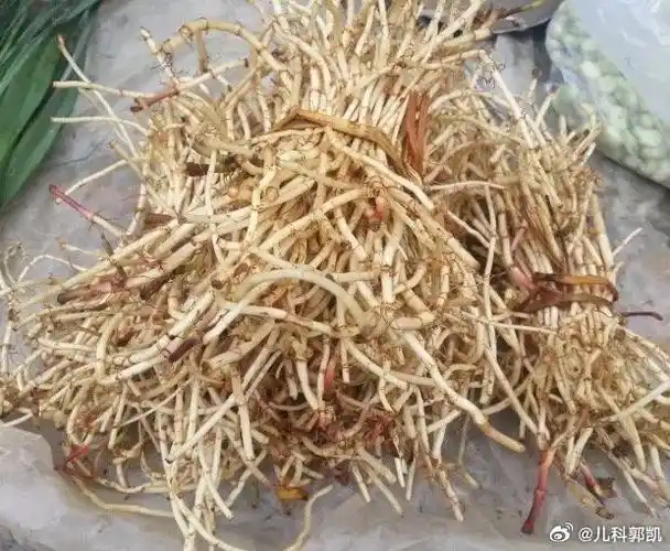 儿童健康守护者计划##国医的精诚力量##支原体肺炎