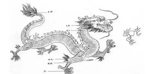 正面龙头画法稍侧面龙头画法右侧龙头画法左侧龙头画法龙凤呈祥火