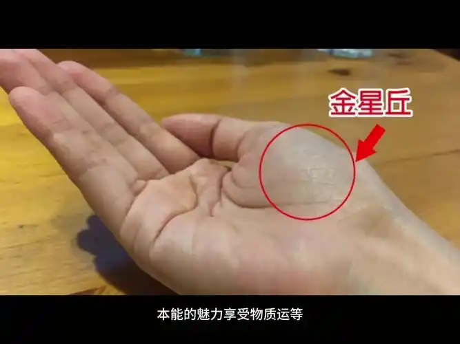 手掌金星丘青筋鼓起多半胃寒你知道吗