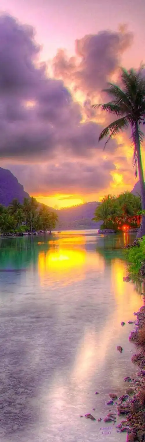 养眼美景,让人心醉!|巨石|彩虹|风景|芬芳|大自然_网易订阅