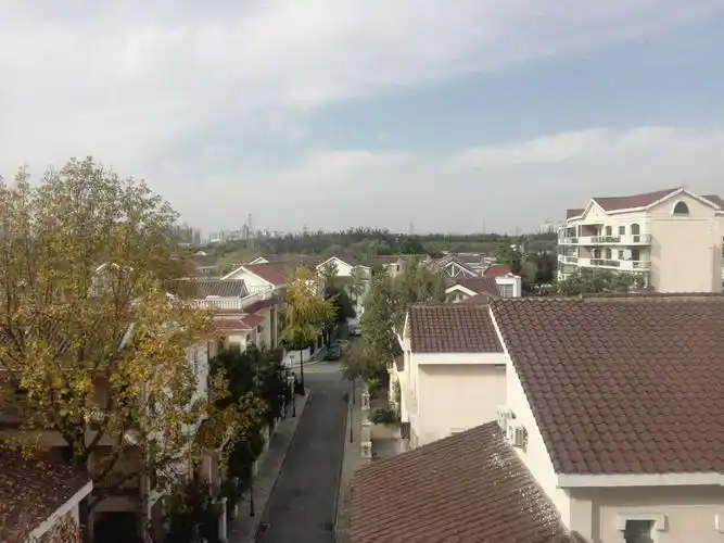 嘉林花园 别墅区里的大三居 花园洋房