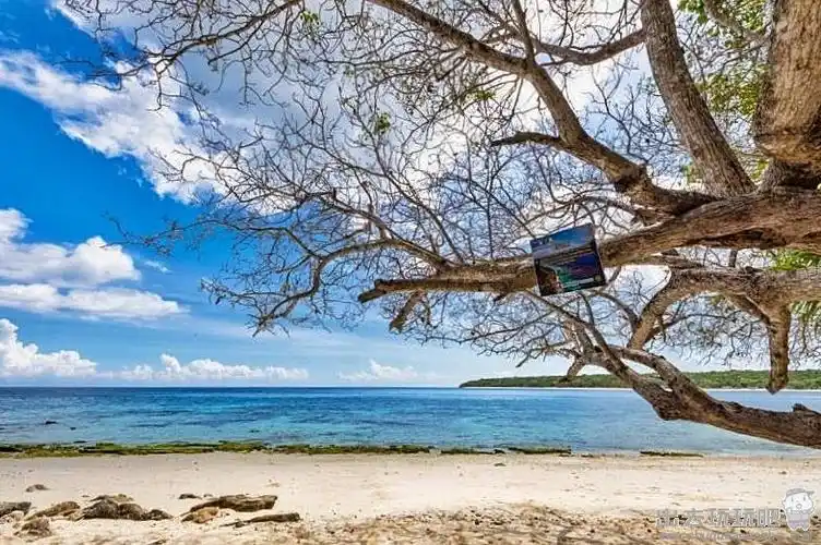 东帝汶之旅美得让人窒息的海景