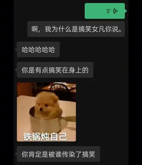 搞笑女日记林华凌我真的会谢