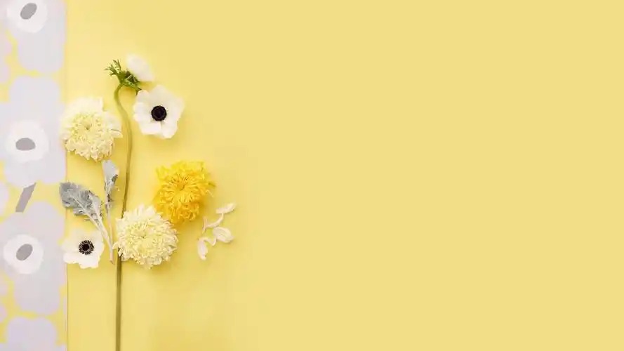 小清新毕业答辩论文ppt模板