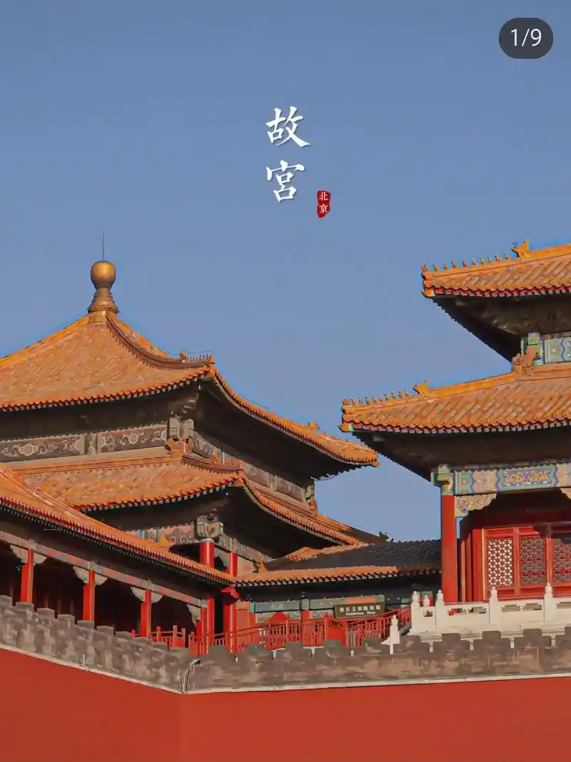 玩转故宫.1午门→太和殿→中和殿→保和殿>乾清宫→慈宁宫→东 - 抖音