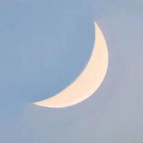 微信头像简约干净高清 - 搜狗图片搜索