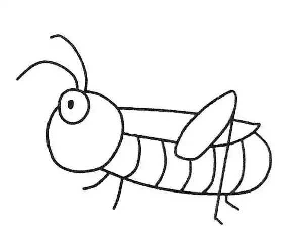 6款卡通蚱蜢简笔画图片大全 卡通蚱蜢怎么画,简笔画图片