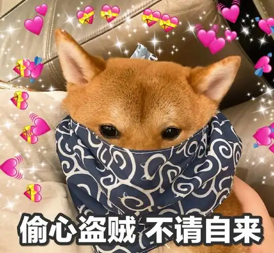 萌宠汪星人偷心盗贼不请自来蒙面搞怪逗gif动图_动态图_表情包下载