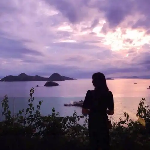 野洵 女头 侧脸 背影喜收藏 禁二传.