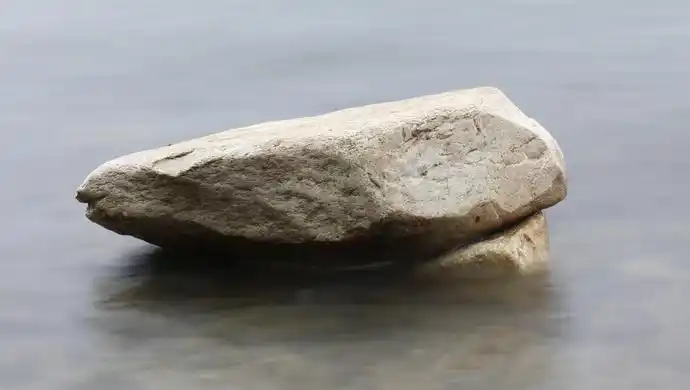 女博士"吃"石头走红