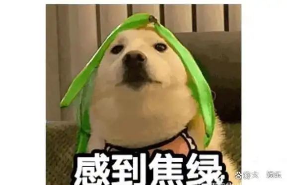 原来蚊子的天敌并不是蚊香家里放点它蚊子消失了