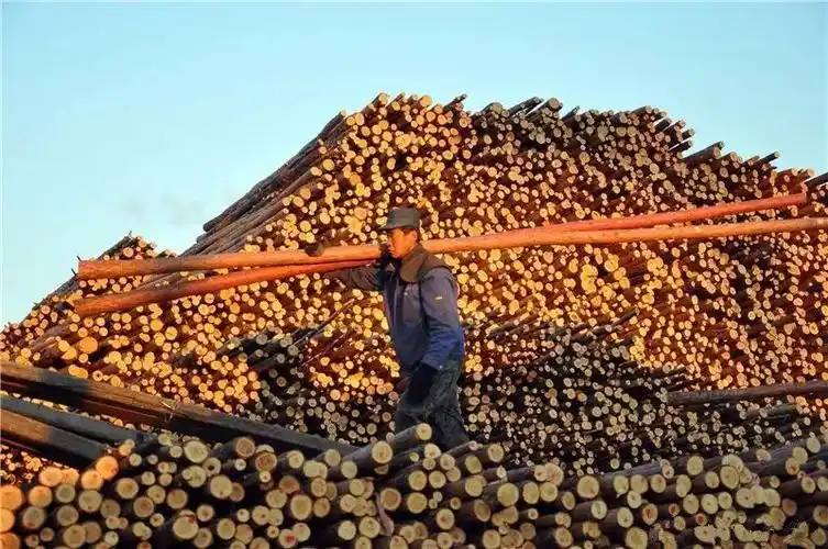 昔日木材堆积如山生产热火朝天的贮木场如今场地空空不见人影