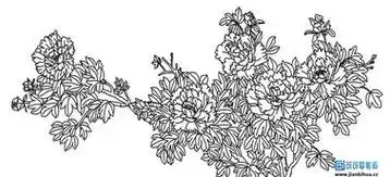 儿童牡丹花简笔画 儿童牡丹花简笔画最简单