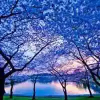 2020微信头像风景图片大全清新【点击鼠标右键下载】