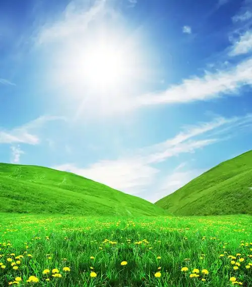 阳光照耀的绿色山谷高清图片图片素材下载(图片id:23949)_-自然风景