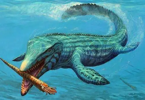 而今天,小编要额外再给大家讲一下沧龙的前身