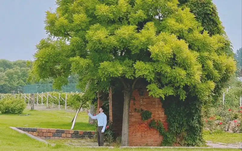 记录 | 时代少年团队长-马嘉祺 | 2022.06