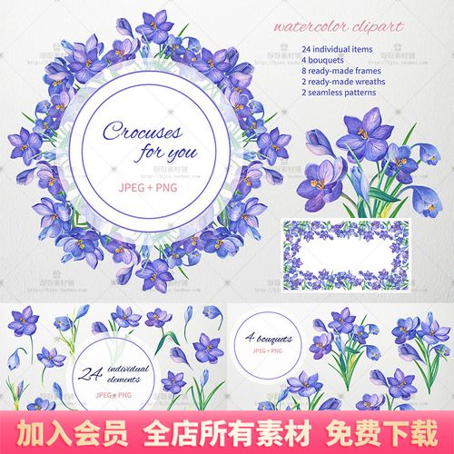 手绘水彩蓝紫色番红花叶子花环png免扣请柬卡片装饰包装设计素材