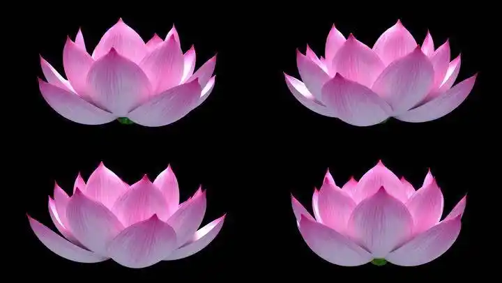 4k高清带通道 透明通道素材 全息投影