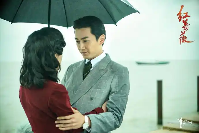 ">电视剧 /a>《 a target="_blank" href="/item/红蔷薇/20826192"