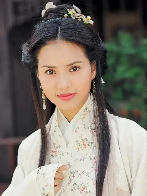 天龙八部  #李若彤