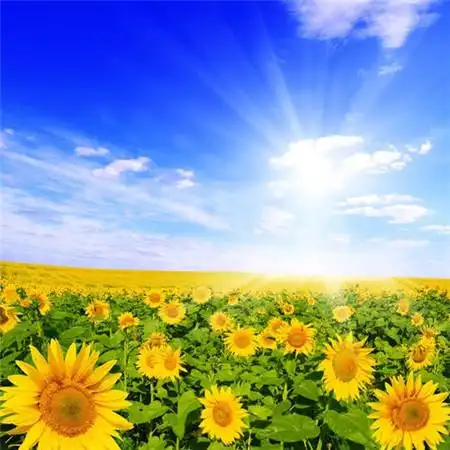 给人一种阳光的头像高清唯美阳光干净的微信头像图片