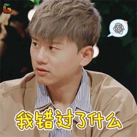 妻子的浪漫旅行我错过了什么蒙圈张杰soogifsoogif出品gif动图_动态图