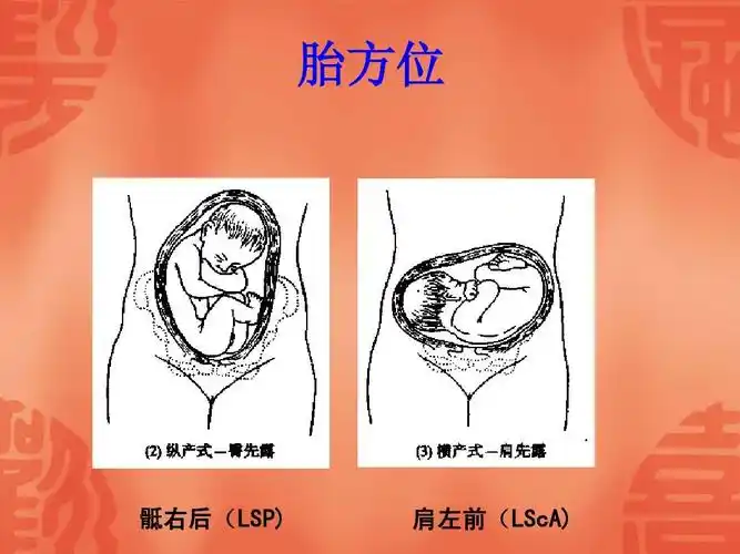 妊娠期妇女的护理ppt_word文档在线阅读与下载_无忧文档