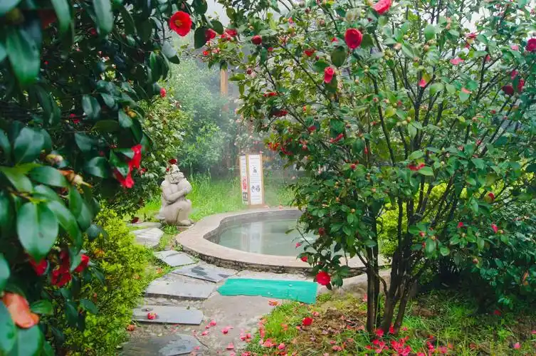 庐山西海温泉景区单日票 可选成人票儿童票亲子票(游西海碧波/洗温泉