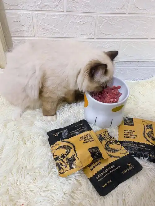 猫顿庄园生骨肉大口吃肉解放猫咪食肉天性