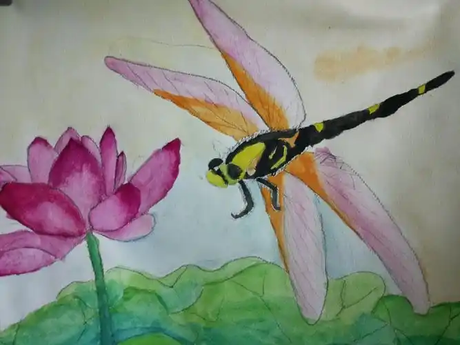 下午小学段绘画主题《小蜻蜓》