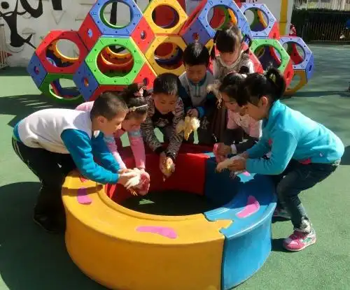 [图文][图文]乐山里幼儿园饲养活动实录 : ---小鸡别跑