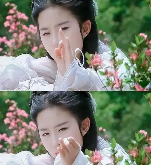 也不会被骂惨甚至去整容|唐嫣|刘亦菲|小龙女|高圆圆|小说家_网易订阅