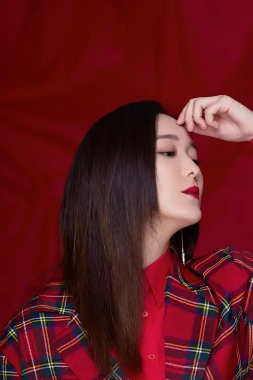 龙梅子记忆里的雪消逝的其实都已铭刻