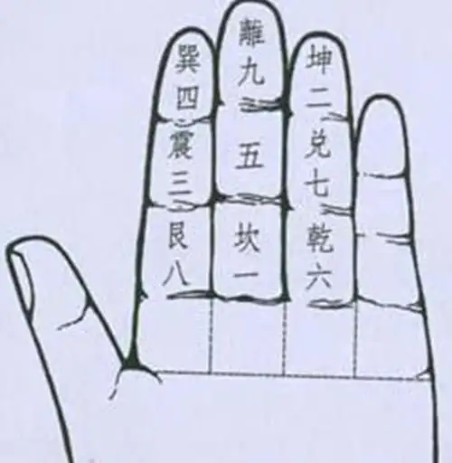 九宫掌指的是:八卦九宫在手掌上的方位,用于我们速推流年飞星的吉凶.