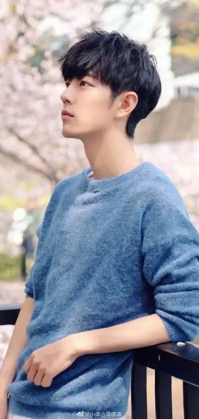 肖战–日系樱花照