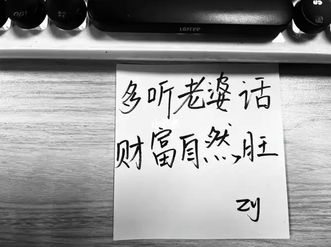 zy手写听老婆的话哈哈