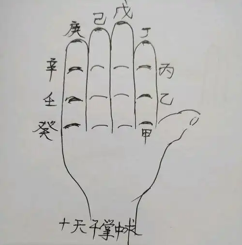 三,十天干在右掌求 起右手掌,从食指节根开始按着逆时针排列十天干 甲