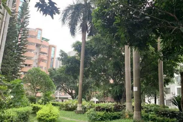 不足,金城花园怎么样,金城花园周边房产中介经纪人评价-广州安居客