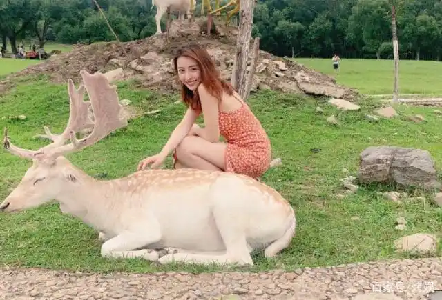 主持人大赛小米,张舒越晋级,评委打分偏高,央视钟爱年轻女主播