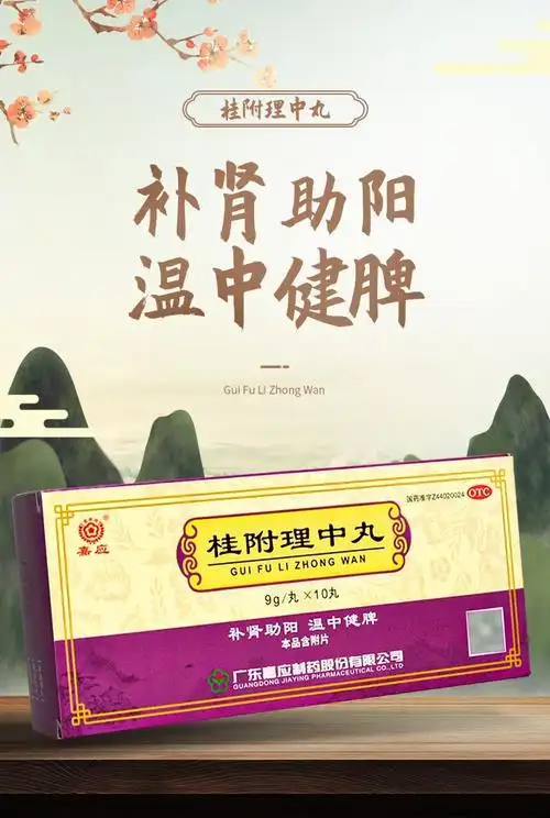 嘉应 桂附理中丸 9g*10s 大蜜丸 补肾助阳 温中健脾 用于肾阳衰弱