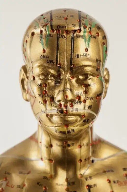 经络的这些作用,大多数人表示都不知道