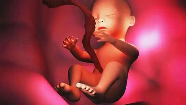 胎儿在第六个月的时候需要注意的事情