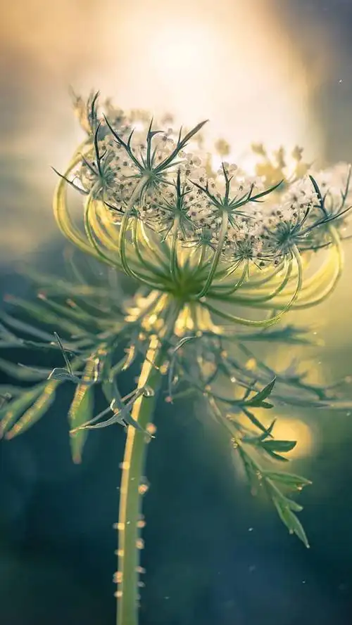 1080_1920竖版 竖屏