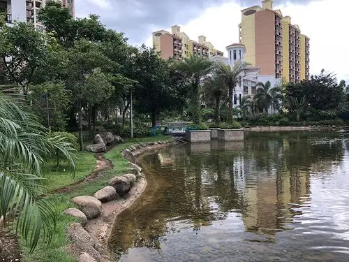 小区园林水系景观