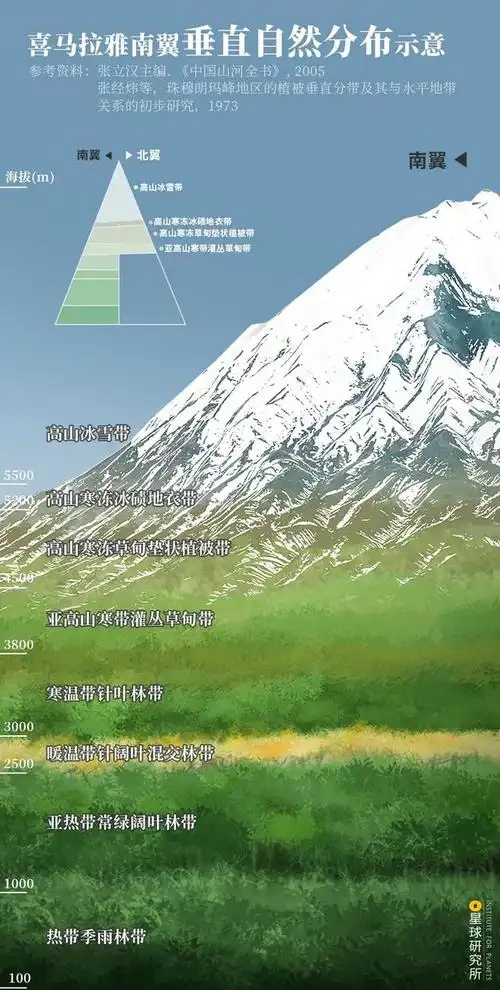 不同海拔的植被分布 也给不同种类的动物提供了