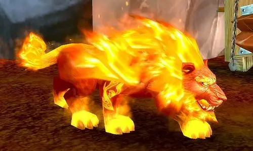 1加入永久火猫形态 小德再也不用怨念