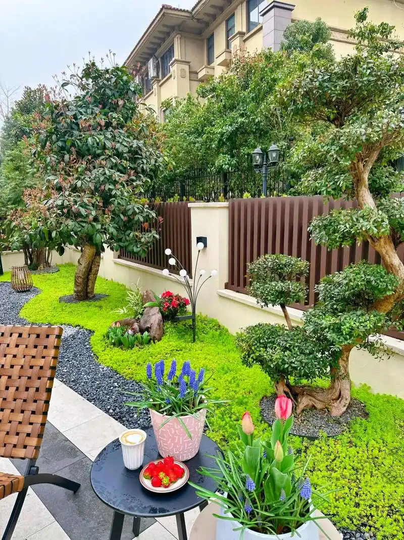 别墅园林景观.庭院设计施工 #私家花园庭院绿植 #好看的 - 抖音