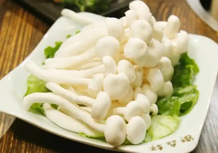 晶莹剔透的白玉菇质地细腻,口味清甜是食用菌种的"金枝玉叶"鲜豆腐