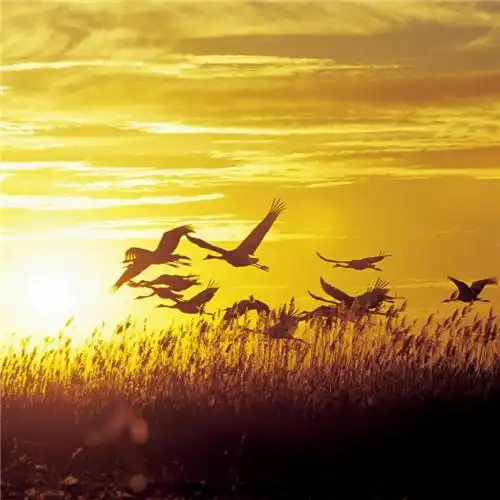 适合一辈子风景头像图片